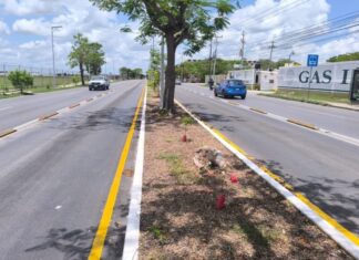 Carril confinado Ietram