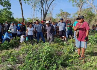 Ejidatarios de Ucú alzan la voz por ecocidio