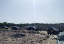 Realizan operativo en San Felipe por delitos ambientales