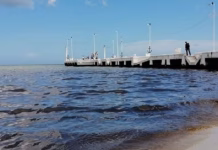 Aguas negras alimentan la marea roja Aguas negras alimentan la marea roja