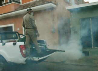 Renacimiento Maya reduce casos de dengue en Yucatán