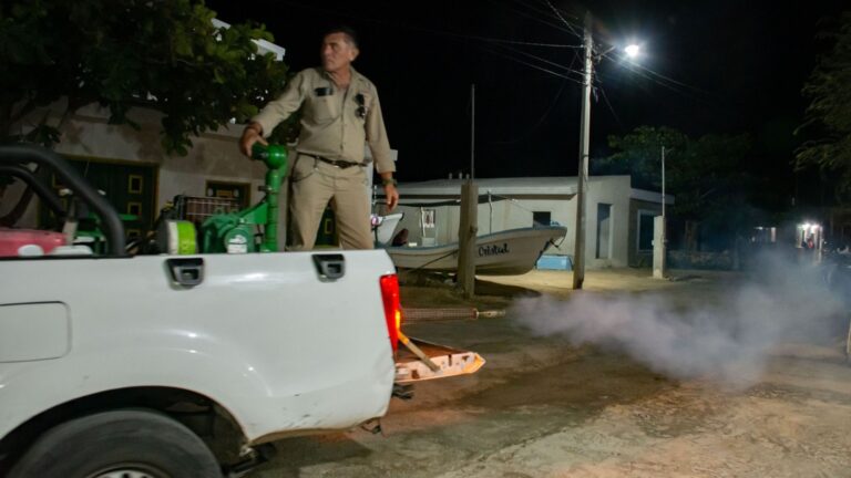 Renacimiento Maya reduce casos de dengue en Yucatán