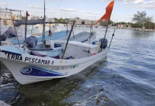 Se normaliza la pesca en Yucatán