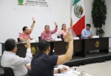 Congreso sesiona bajo presión para despenalizar aborto