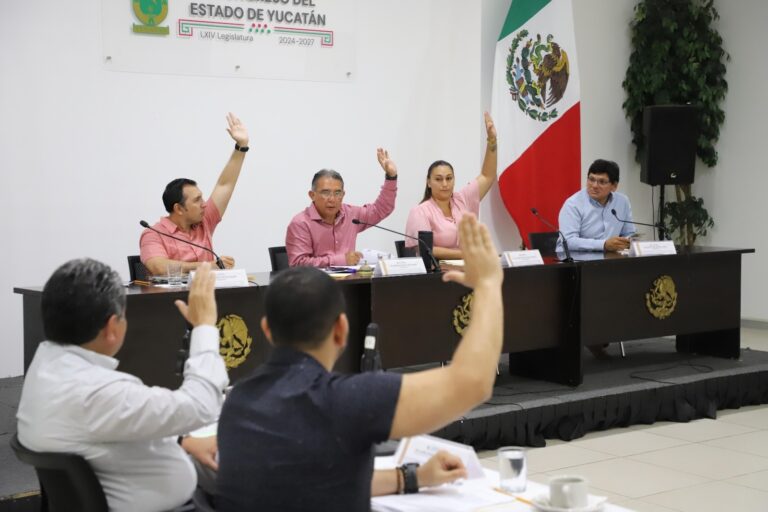 Congreso de Yucatán avanza en despenalización del aborto