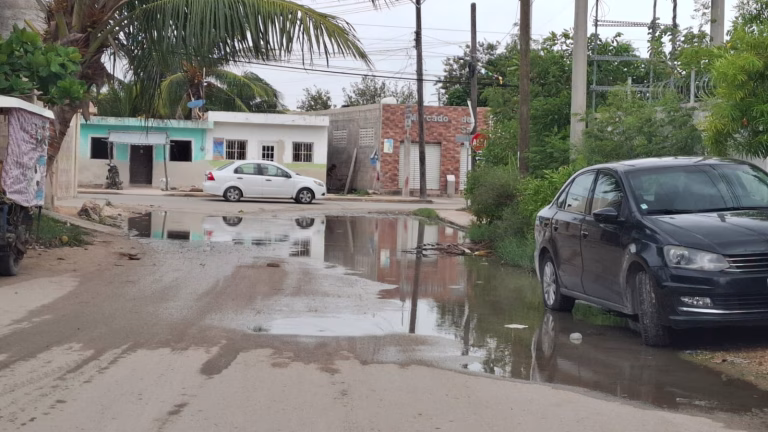 Celestún sufre abandono entre baches, charcos y pestilencia
