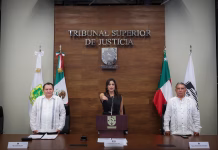 No declinaré al cargo: Erika Torres