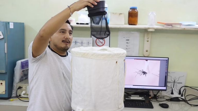 Detectan en Yucatán nuevo mosco transmisor de dengue