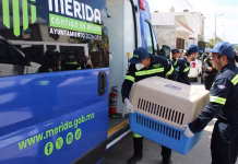 Detienen a responsable de env3nen4r perros en Mérida