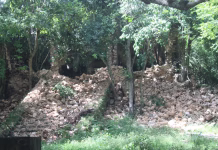 Saquean y destruyen sitio sagrado de Mopila en Yaxcabá Saquean y destruyen sitio sagrado de Mopila en Yaxcabá