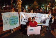 Activistas marchan para exigir freno a la crueldad animal en Yucatán protesta crueldad animal