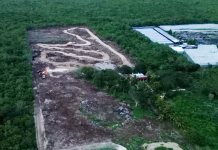 Profepa clausura pista de motocross ilegal en Chicxulub Pueblo