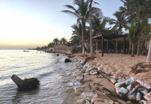 Advierten sobre el impacto de espolones en playas de Progreso