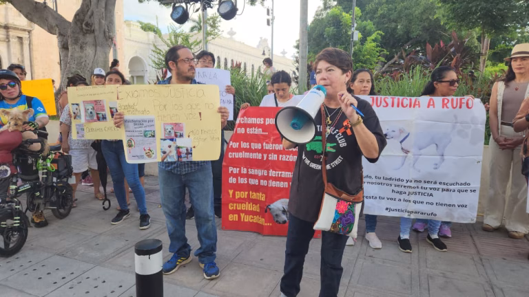 Nueva protesta en Palacio de Gobierno para exigir justicia Nueva protesta en Palacio de Gobierno para exigir justicia