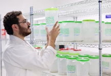 Interés nacional por biofábrica de moscas estériles