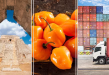 Economía de Yucatán se estanca en segundo trimestre de 2025