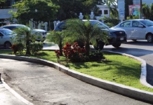 Canaco Mérida pide revisar arriates en Paseo de Montejo