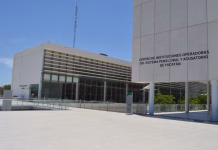 Seguirá libre conductora involucrada en el caso Angello Seguirá libre conductora involucrada en el caso Angello