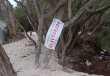 Clausuran zona afectada por devastación de manglares en Sisal