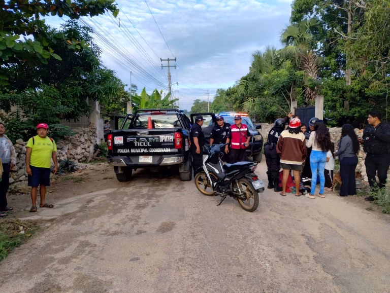 Can los tumba en calles de Ticul Can los tumba en calles de Ticul