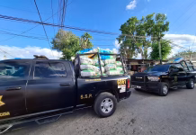 Aseguran cerca de 20 toneladas de carbón tras cateo en Kaua decomiso carbón Kaua