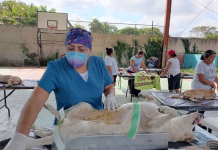 SSY aplica más de 310 mil vacunas antirrábicas y esteriliza casi 4 mil mascotas esterilización mascotas Yucatán