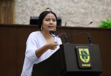 Padres o madres deudores no podrían renovar licencia de manejo