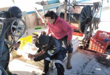 Marina auxilia a pescador herido por una mantarraya