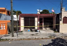 Hallan a perritos abandonados y sin vida en la Fidel Velázquez