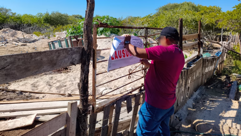 Profepa refuerza clausuras por deforestación en Chelem