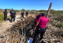 Profepa clausura desmonte ilegal de manglar en Chelem Profepa clausura desmonte ilegal de manglar en Chelem