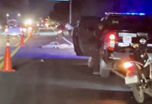 Sale por su cena y mu3re atropellado en tramo Valladolid–Temozón
