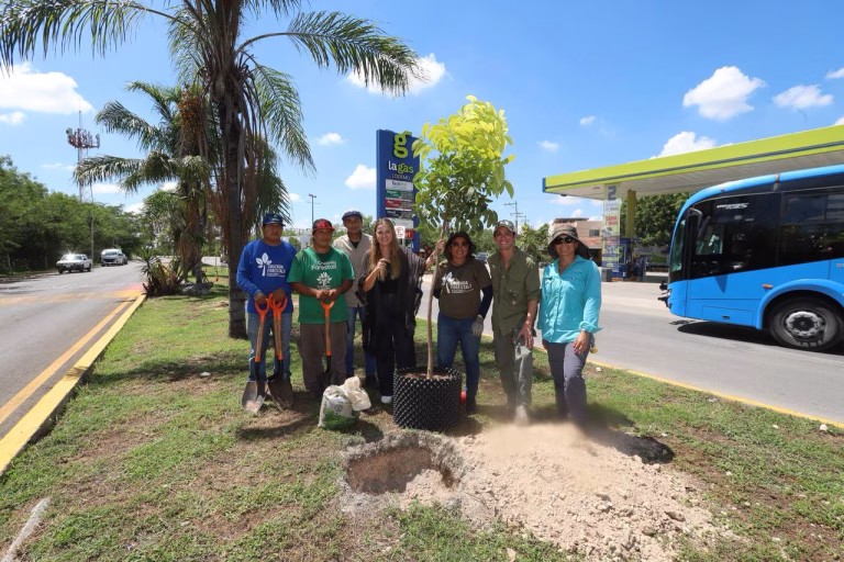 Plan de Infraestructura Verde