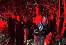 Rescatan a perrito de una fosa y lo adoptan en Valladolid Valladolid