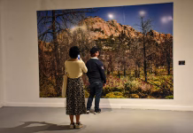 Arte une Baja California, Campeche y Yucatán en el Museo de la Ciudad Museo de la Ciudad