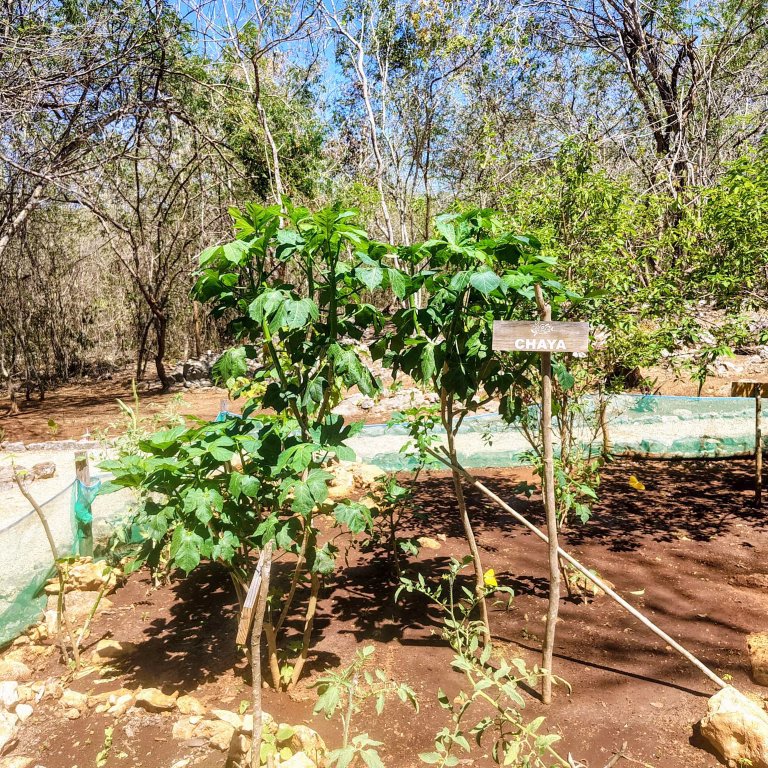 Mérida impulsa productores rurales con programa Círculo 47