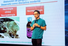 Parkinson en Yucatán: aumentan casos y persiste subdiagnóstico Parkinson Yucatán
