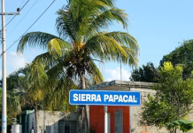 Sierra Papacal conflicto ejidal