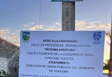 Habitantes denuncian tala de manglares en Sisal y omisión oficial