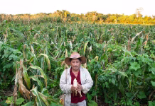 Yucatán protege 580,000 hectáreas con inversión de 12.6 mdd