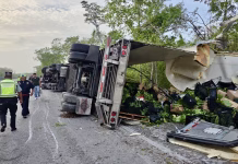 Tráiler riega toneladas de fruta en la carretera Mérida-Cancún volcadura fruta