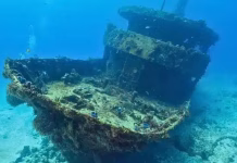 Yucatán construirá dos arrecifes artificiales con barcos de la Marina Yucatán construirá dos arrecifes artificiales con barcos de la Marina