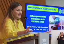 Mérida hará "más con menos" pese a recortes: Cecilia Patrón