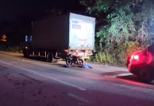 Motociclista muere tras accidente en la carretera Mérida-Cancún.