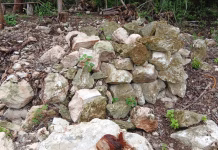 Comunidad maya denuncia presuntas afectaciones en Chichรฉn Itzรก