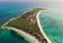 Arrecife Alacranes: científicos alertan por vacíos en la protección de hábitats frente a Yucatán Arrecife Alacranes: científicos alertan por vacíos en la protección de hábitats frente a Yucatán