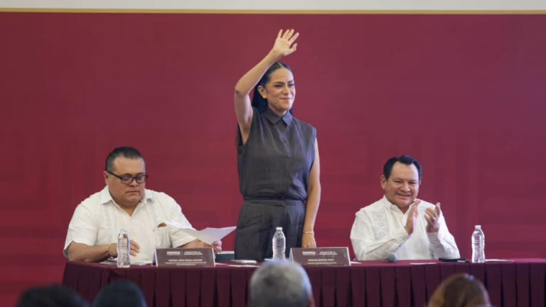 Ariadna Montiel ¿Palomea precandidaturas?