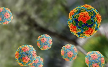 Cierran escuelas de comisaría tizimileña por brote de hepatitis A hepatitis A Chan Cenote