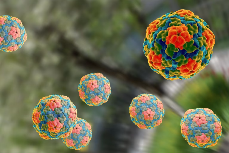 hepatitis A Chan Cenote
