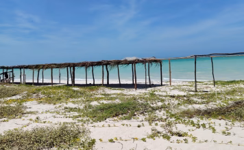 Sisal Tumba